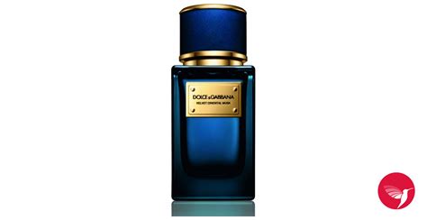 Velvet Oriental Musk Dolce&Gabbana for women and men